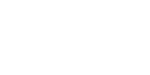 Platinum Gaming Limited logo