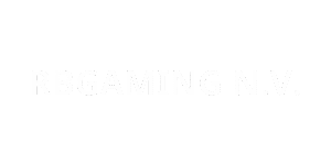 RBGAMING N.V. logo